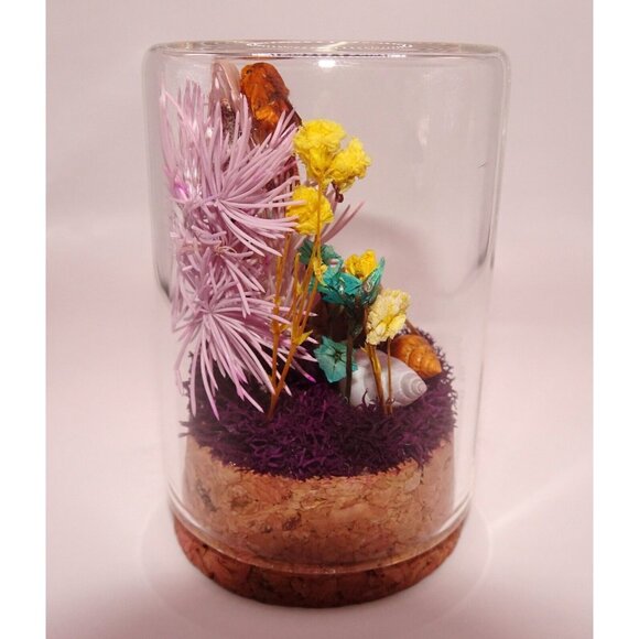 Orange Tipped Oakworm Moth Cicada Skin Dried Flowers Oddity Jar taxidermy witchy - Picture 11 of 12